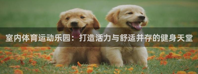 ug环球官网登录入口：室内体育运动乐园：打造活力与舒适并存的健身天堂