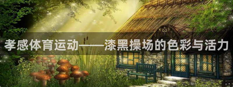 ug环球官网登录入口：孝感体育运动——漆黑操场的色彩与活力