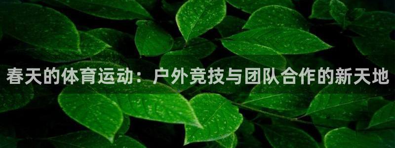 ug环球官网：春天的体育运动：户外竞技与团队合作的新天地