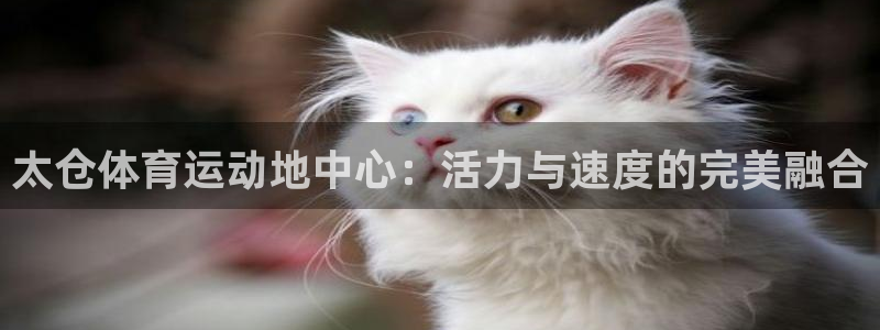 ug环球官网注册：太仓体育运动地中心：活力与速度的完美融合