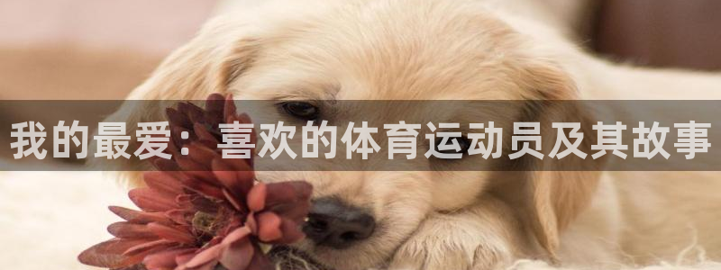 ug环球官网登录入口：我的最爱：喜欢的体育运动员及其故事