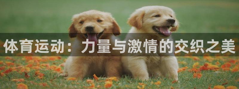 ug环球官网