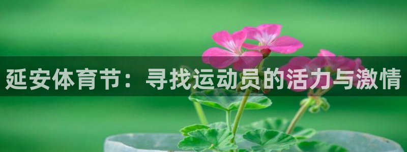 菲律宾ug环球官网