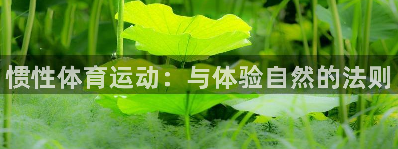 菲律宾ug环球官网：惯性体育运动：与体验自然的法则