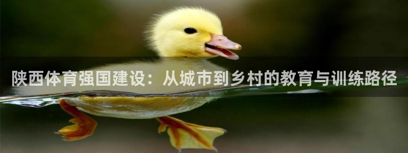 ug环球官网：陕西体育强国建设：从城市到乡村的教育与训练路径